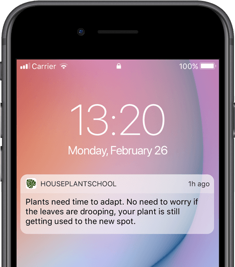 example of an app notification
